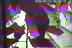 9、视频干扰